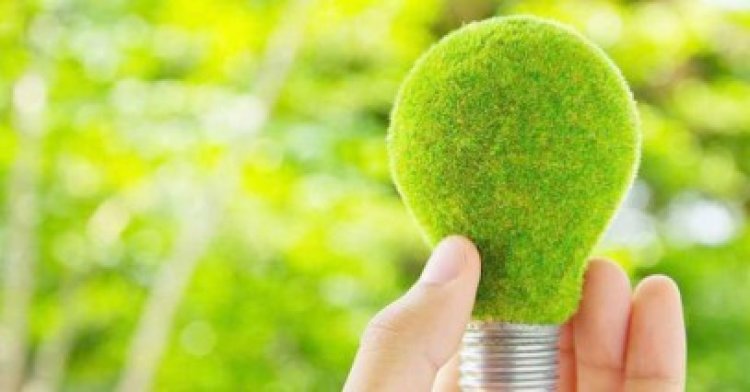 Sprijinul acordat energiilor verzi ar putea fi diminuat